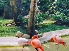 -三亚蜈支洲岛旅游区