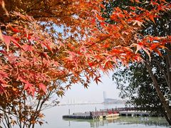 -无锡蠡湖国家湿地公园-蠡园