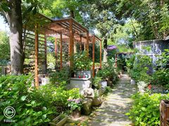 -谷咖啡·鲜花绿植花园餐厅
