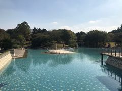 -上海月湖雕塑公园