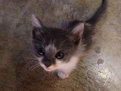 iphone_upload_pic-MIKAKU(万达广场上海宝山店)