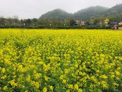 -红山村