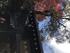 -常寂光寺