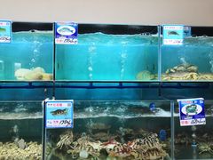 水产区-南海渔家•海鲜•正宗海南菜(海棠湾店)