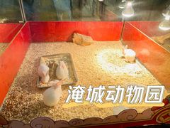 -常州淹城野生动物世界