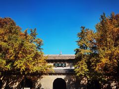 -灵谷景区