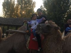 -古柏渡飞黄旅游区