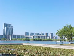 -尚贤河湿地