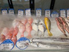 -闽海肴(北辰荟店)