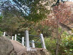 -崂山巨峰游览区