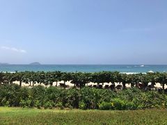 -三亚亚龙湾天域度假酒店