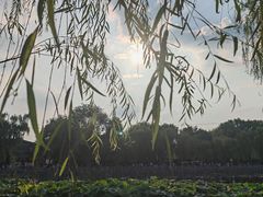 -济南大明湖景区