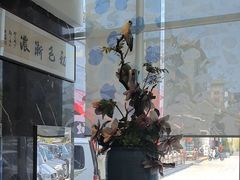 -初色海鲜自助(万丰路店)