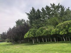 -棒棰岛宾馆景区