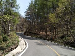 -洛阳白云山景区