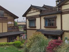 -诗经里