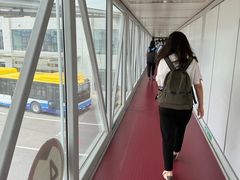 -石家庄正定国际机场-T2航站楼