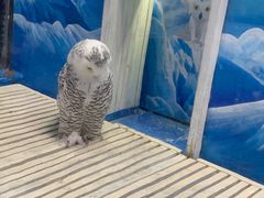 -成都浩海立方海洋公园