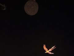 -万顺啤酒屋(皇寺路店)