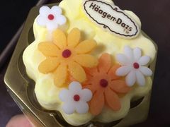 -哈根达斯(国瑞店)