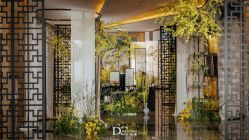 -DC大蔡婚礼策划(李公堤店)