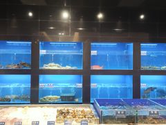 澳龙，长脚蟹，象拔蚌-金时代顺风大酒店(临港百联店)