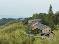 -莫干山风景区