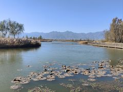 -野鸭湖国家湿地公园