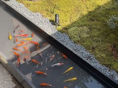 -食锦记·福建私房菜(浦西万达店)