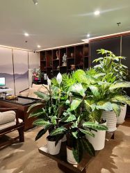 -至爱至信新中式SPA疗愈会所