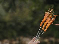 -秦皇古道马场