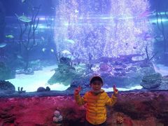 -沈阳海洋探索中心