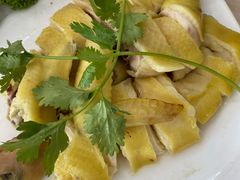 白切文昌鸡-墨脱石锅椰子鸡•香草鸭•东山羊(大东海店)