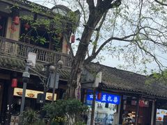 -黄龙溪古镇-古龙寺