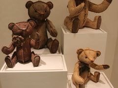 -济州岛泰迪熊博物馆