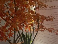 -安贞汤泉(安贞桥店)