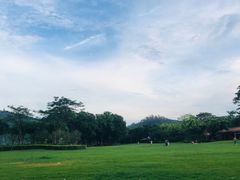 -顺峰山公园