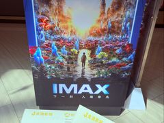 -金逸影城(武汉人信汇IMAX店)