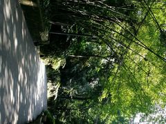 android_upload_pic-瞰胜楼