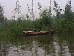 -白洋淀景区