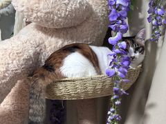 -张翻越·川渝冒菜·武汉黑鸭煲(城北万象城店)