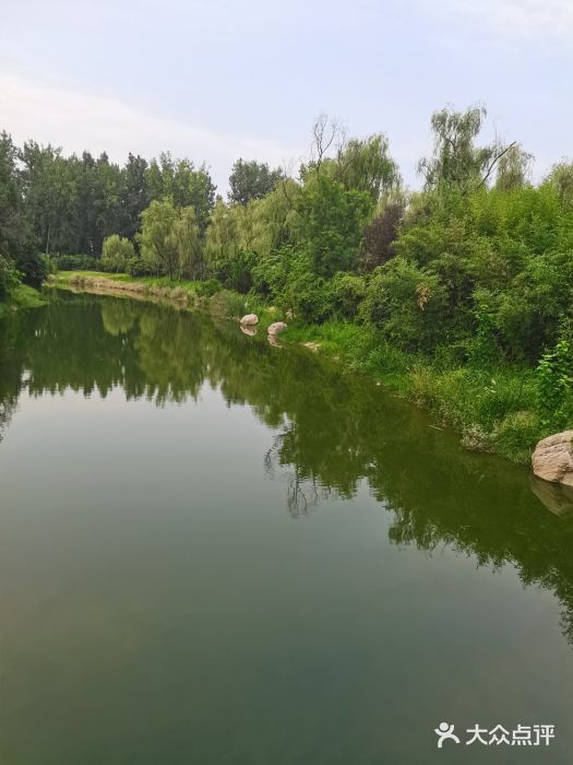 思念果岭悦温泉图片