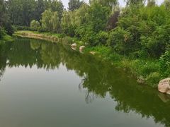 -思念果岭悦温泉