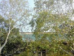 -武汉大学-樱园