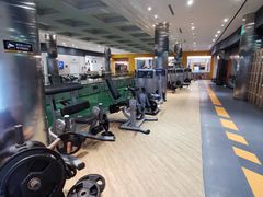 -威尔仕健身(金茂店)