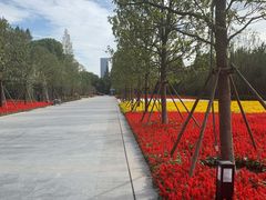 -上海市龙华烈士陵园