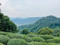 -西湖风景区十里琅珰-五云山