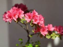 -汇龙潭