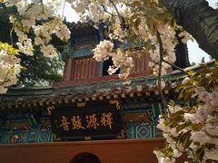 -洛阳白马寺