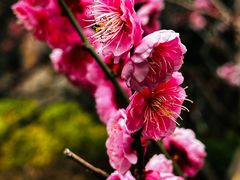 -静安雕塑公园